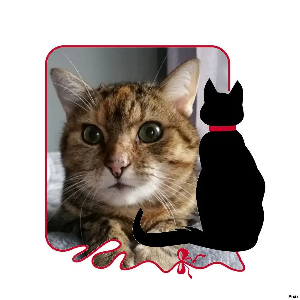 Condolence image of Patricia mit Bunny ❤️ 