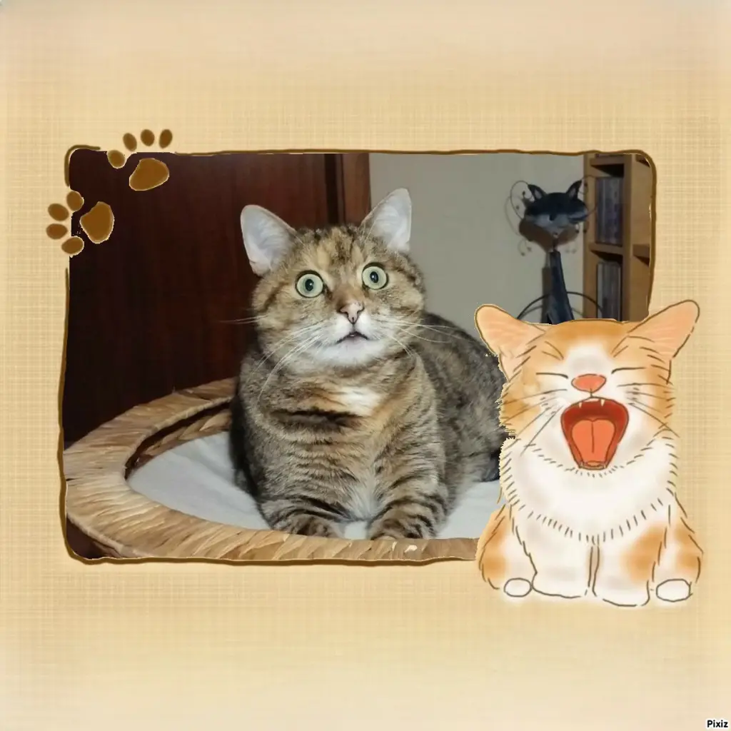 Condolence image of Tanja mit Timmy im Herzen 