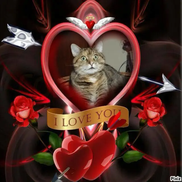 Condolence image of Tanja mit Timmy im Herzen