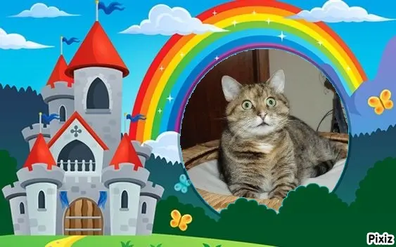 Condolence image of Tanja mit Timmy im Herzen