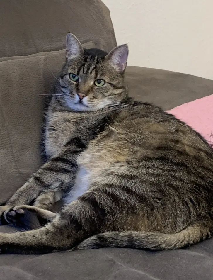 Condolence image of Carmen