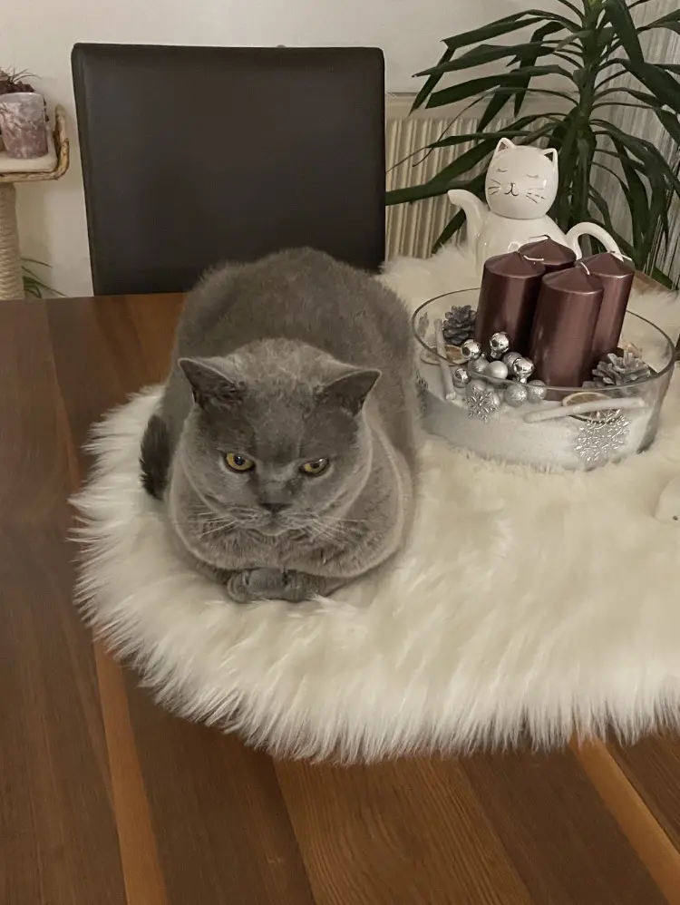 Condolence image of Carmen 