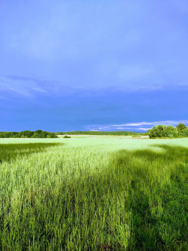 Condolence image of Corinna mit Emma, Pummelchen und anderen Sternlein im ❤️