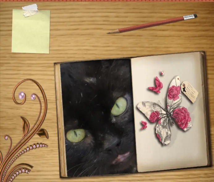 Condolence image of Zausi , Ravi  und Carmen