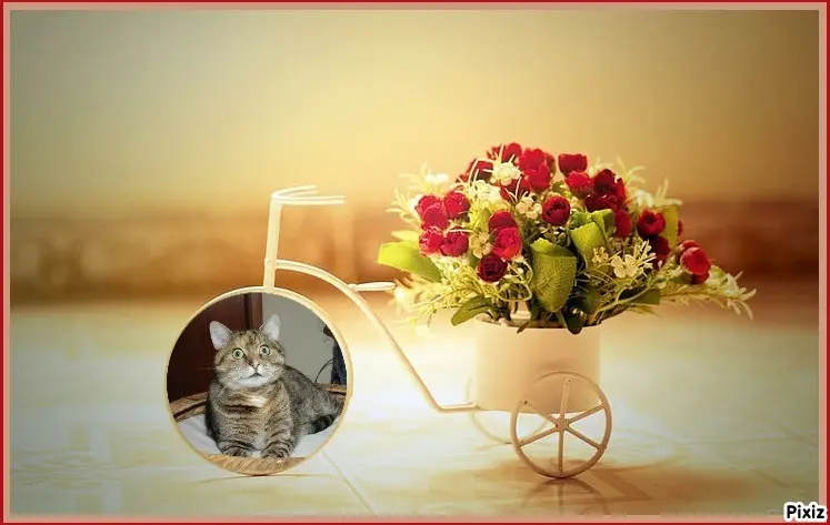 Condolence image of Tanja mit Timmy im Herzen 