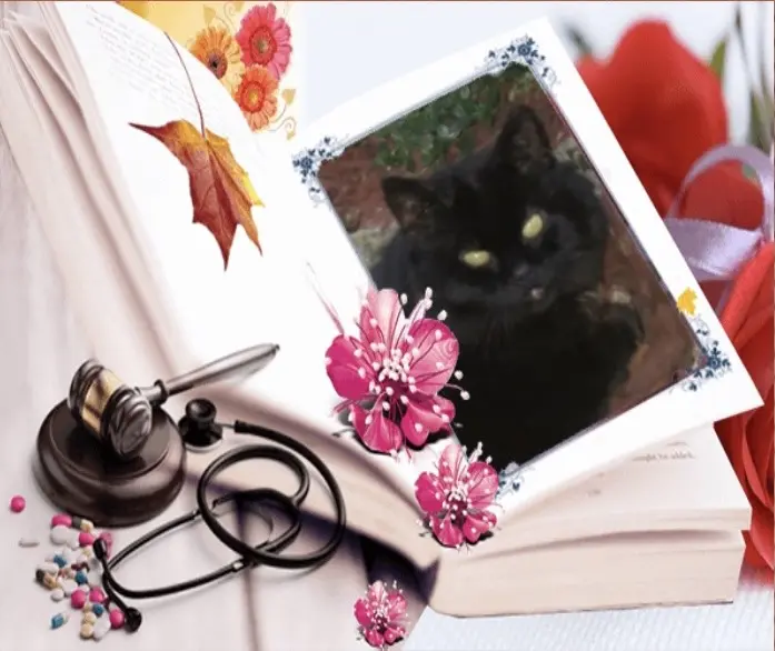 Condolence image of Ravi, Zausi und Carmen