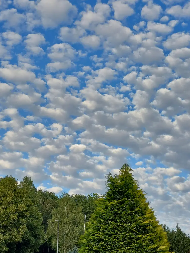 Condolence image of An mein Fellkind ❤️