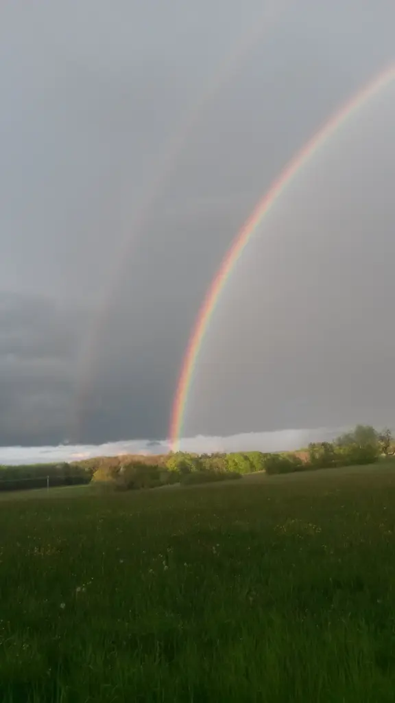 Condolence image of Corinna mit Emma, Pummelchen und anderen Sternlein im ❤️