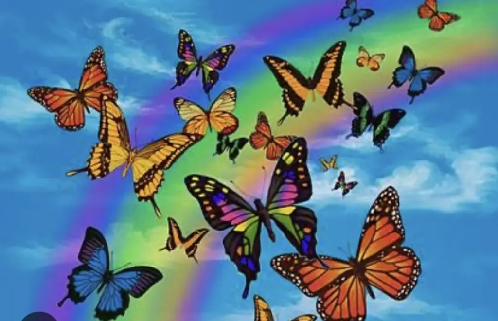 Condolence image of An Paulinchen und Mama Daniela