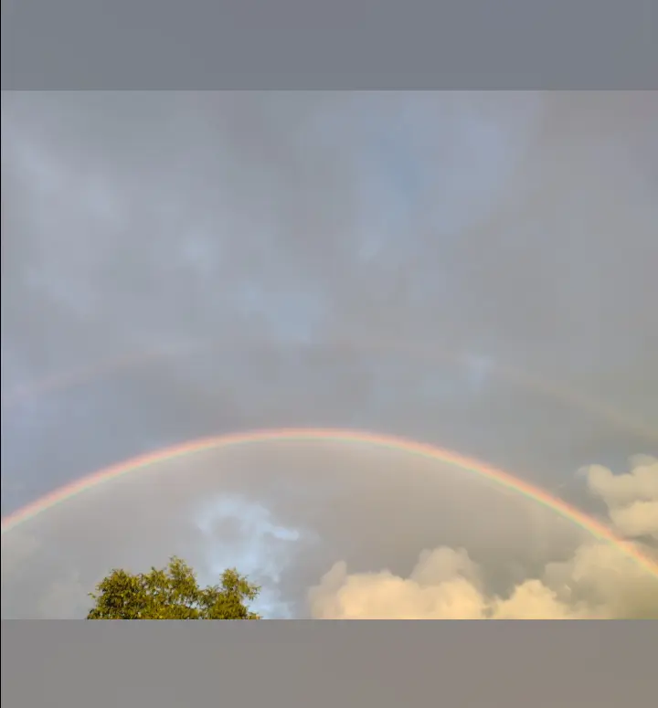 Condolence image of Corinna mit Emma, Pummelchen und anderen Sternlein im ❤️