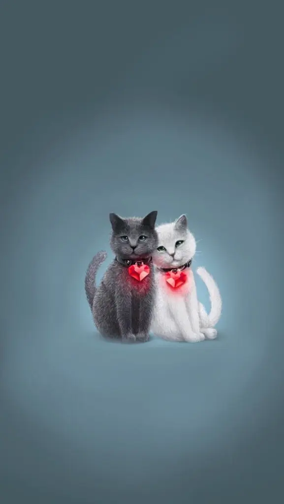 Condolence image of Carmen mit Ravi und Zausel 