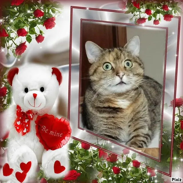 Condolence image of Tanja mit Timmy im Herzen 