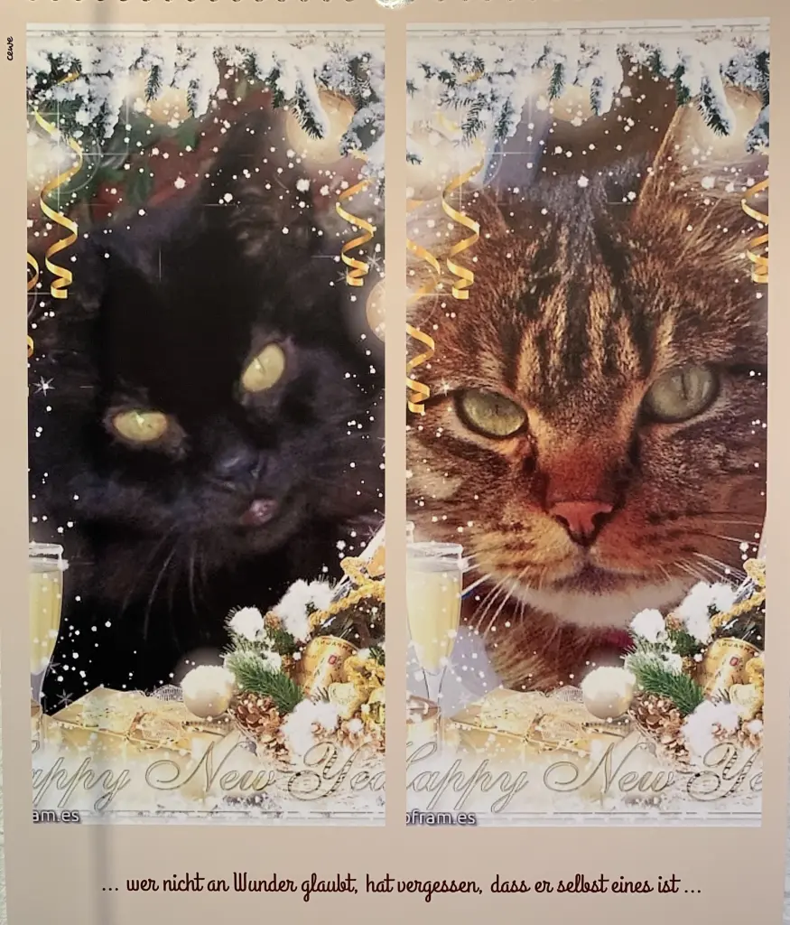 Condolence image of Ravi, Zausi und Carmen 