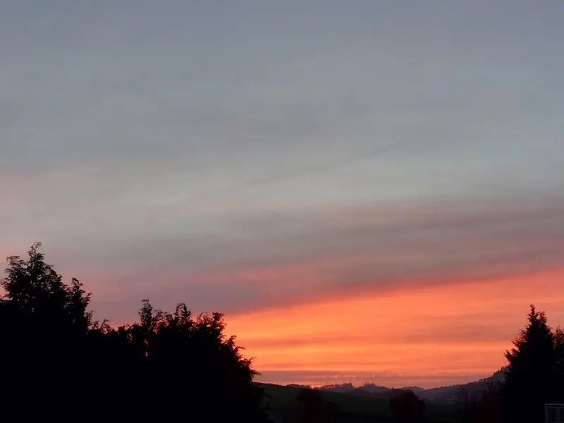 Condolence image of Mama für mein Sternenkind Pauline ♥️