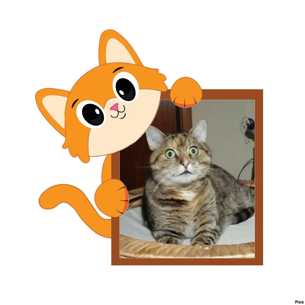 Condolence image of Tanja mit Timmy im Herzen 