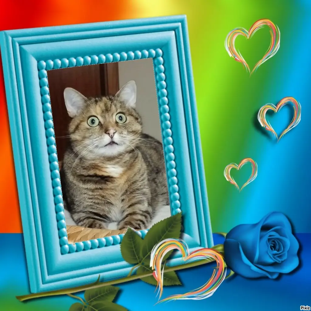 Condolence image of Tanja mit Timmy im Herzen