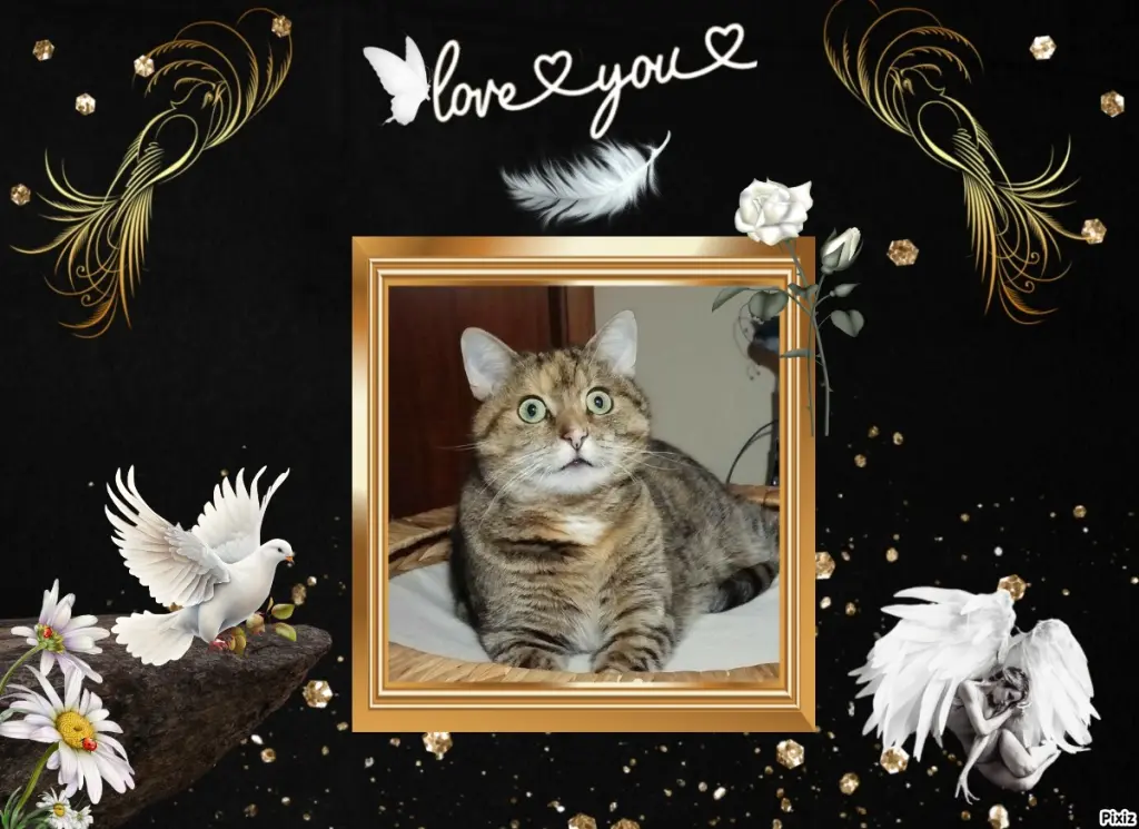 Condolence image of Tanja mit Timmy im Herzen