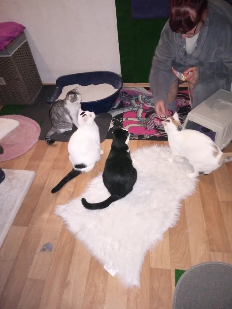 Condolence image of Für das kleine Engelchen Paulinchen ♥️