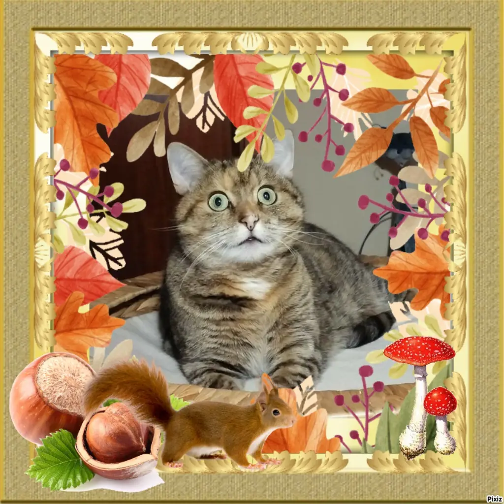 Condolence image of Tanja mit Timmy im Herzen 