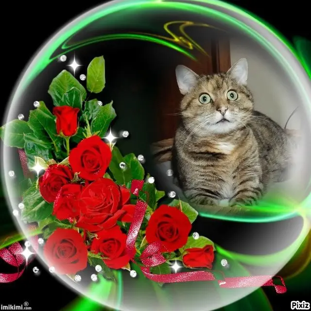 Condolence image of Tanja mit Timmy im Herzen