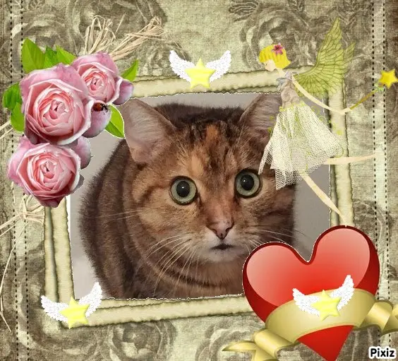 Condolence image of Patricia an Paulinchen ❤️