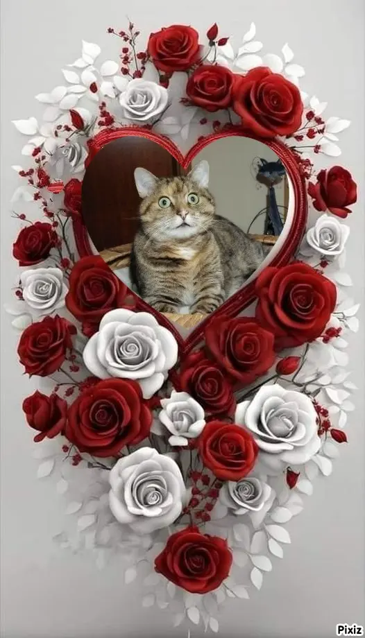 Condolence image of Tanja mit Timmy im Herzen 