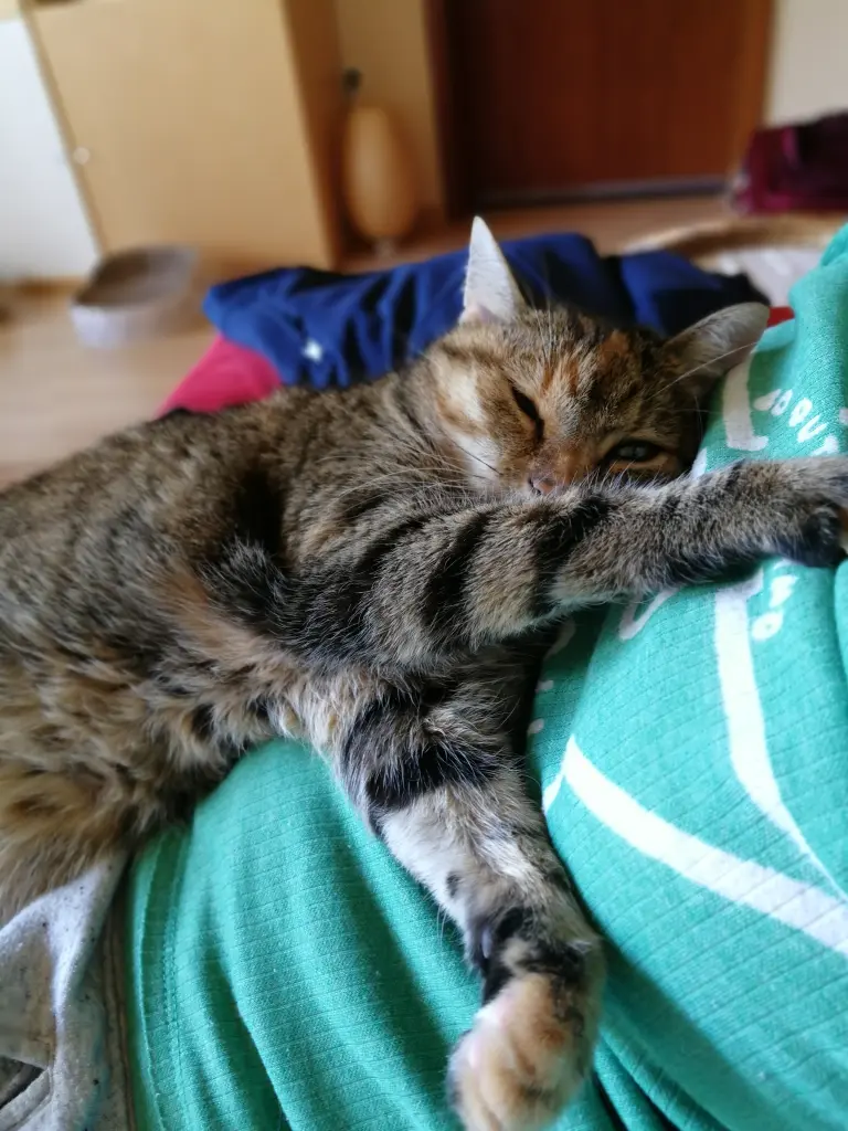 Condolence image of Für dich ❤️❤️❤️