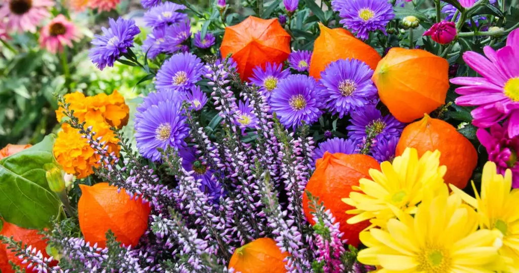 Condolence image of Corinna mit Emma, Pummelchen und anderen Sternlein im ❤️