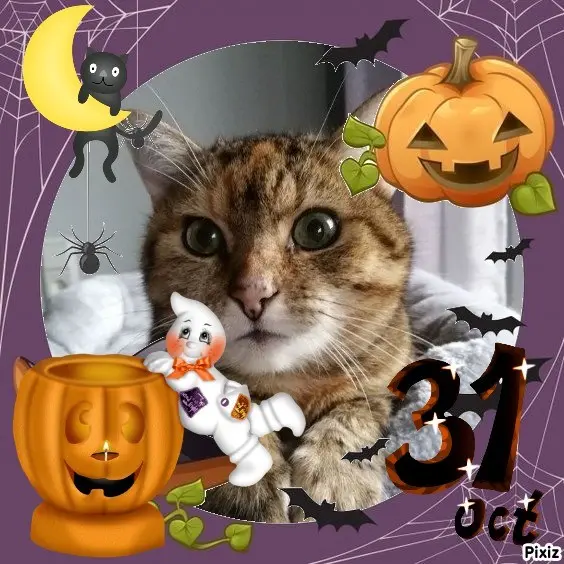 Condolence image of Happy Halloween 