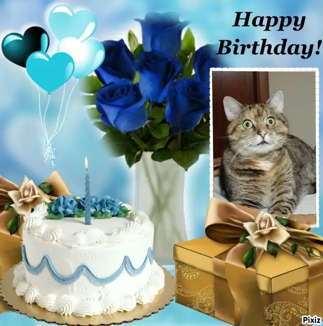 Condolence image of Tanja mit Timmy im Herzen