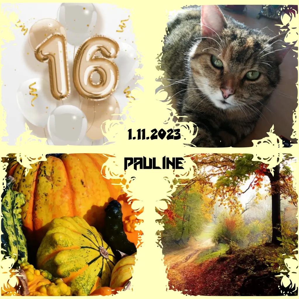 Condolence image of Corinna mit Emma, Pummelchen und anderen Sternlein im ❤️