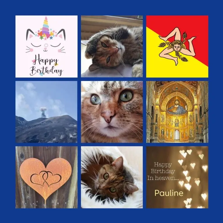 Condolence image of Rosen für Pauline zum 16. Geburtstag