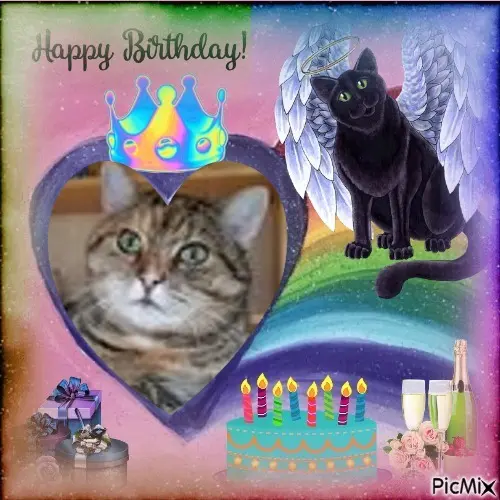 Condolence image of 16.Geburtstag❤️❤️❤️❤️❤️❤️❤️❤️❤️❤️❤️❤️❤️❤️❤️❤️❤️