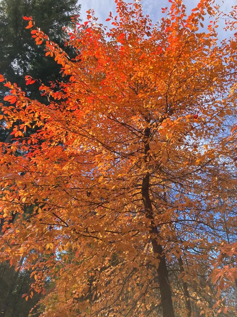 Condolence image of für Pauline ♥