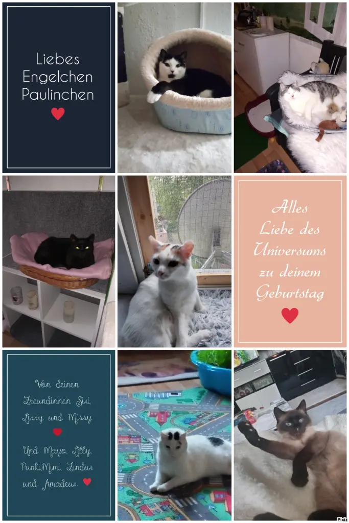 Condolence image of Für das Geburtstagssternchen Paulinchen ♥️