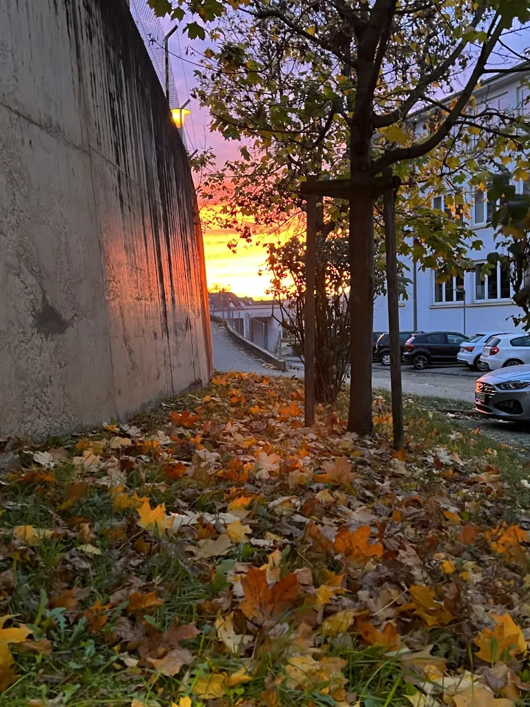 Condolence image of An Pauline und Mama Daniela