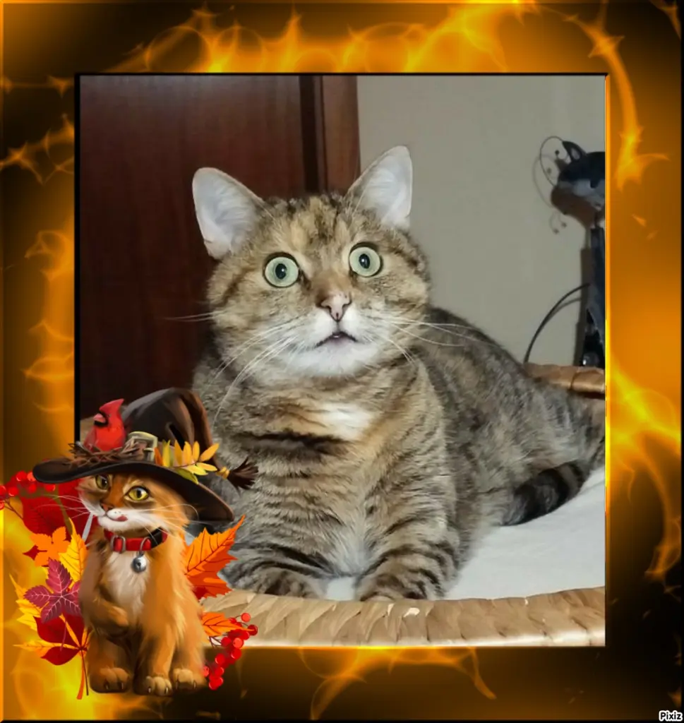 Condolence image of Tanja mit Timmy im Herzen