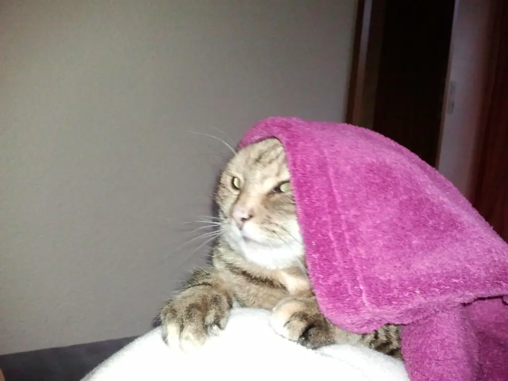 Condolence image of an mein Engelchen ❤️