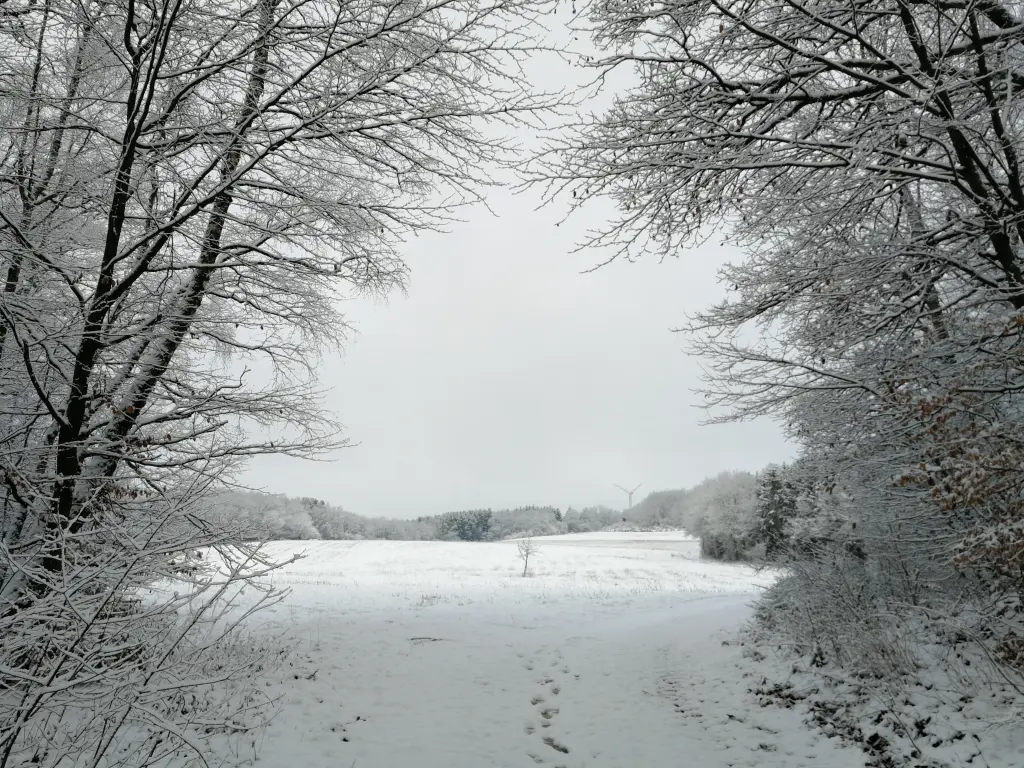 Condolence image of Pauline ❤️❤️❤️ du fehlst jeden Tag!