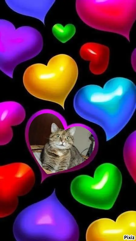 Condolence image of Tanja mit Timmy im Herzen 