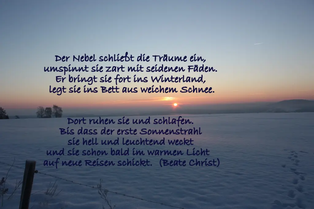 Condolence image of an die Sternenprinzessin Pauline ♥