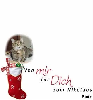 Condolence image of Tanja mit Timmy im Herzen 