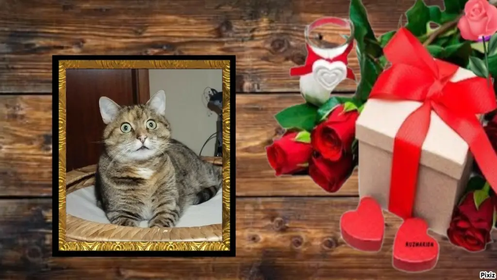 Condolence image of Tanja mit Timmy im Herzen 