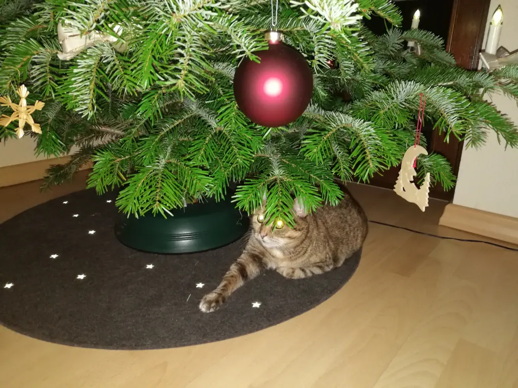 Condolence image of an mein Engelchen ❤️