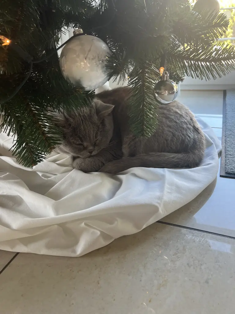 Condolence image of An Paulinchen