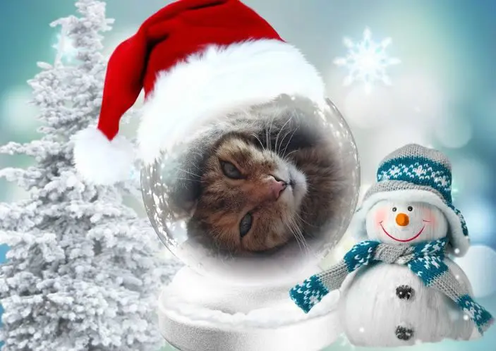 Condolence image of Gute❤️❤️❤️Nacht❤️Liebe❤️❤️❤️❤️❤️Mauschen❤️⭐️