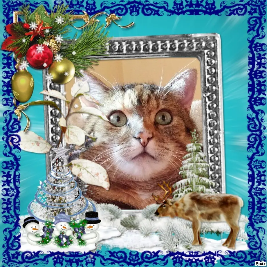 Condolence image of Patricia mit Bunny ❤️