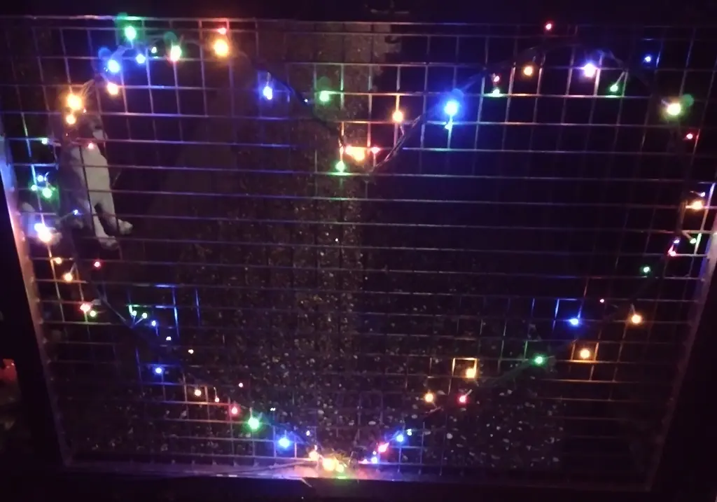 Condolence image of Corinna mit Emma, Jengi, Pummelchen und anderen Sternleine im Herzen