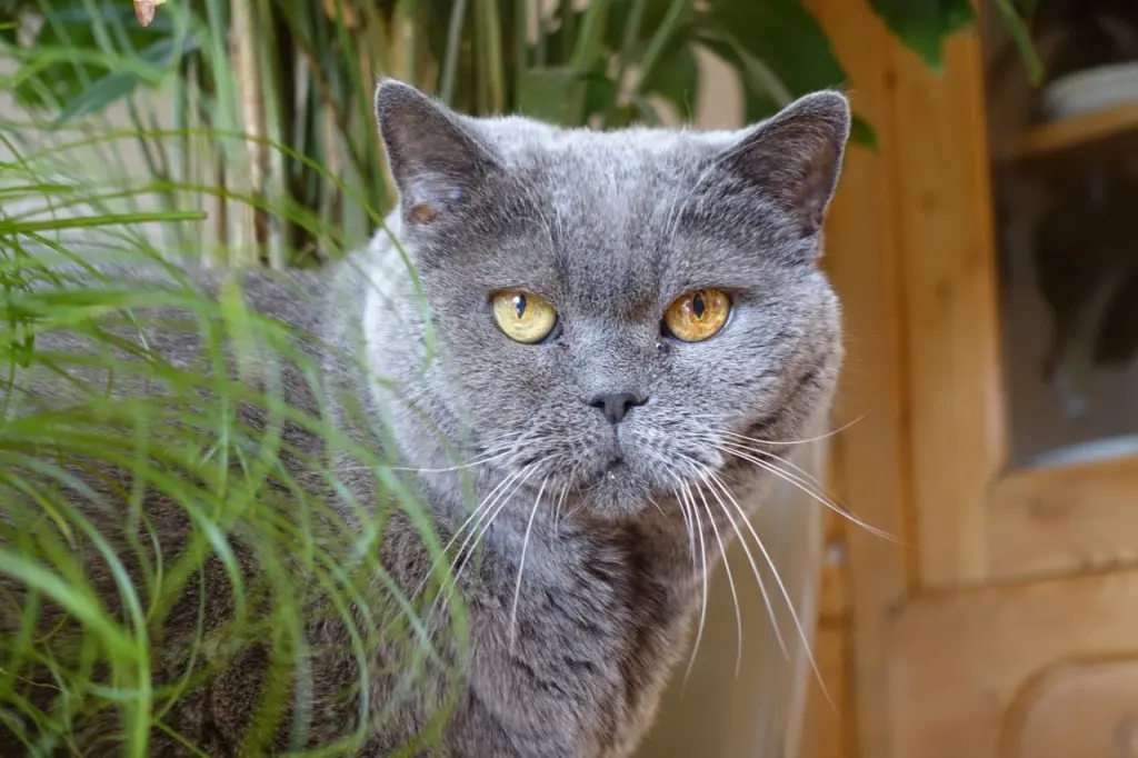 Condolence image of Für Pauline ❤️ und Mama Daniela