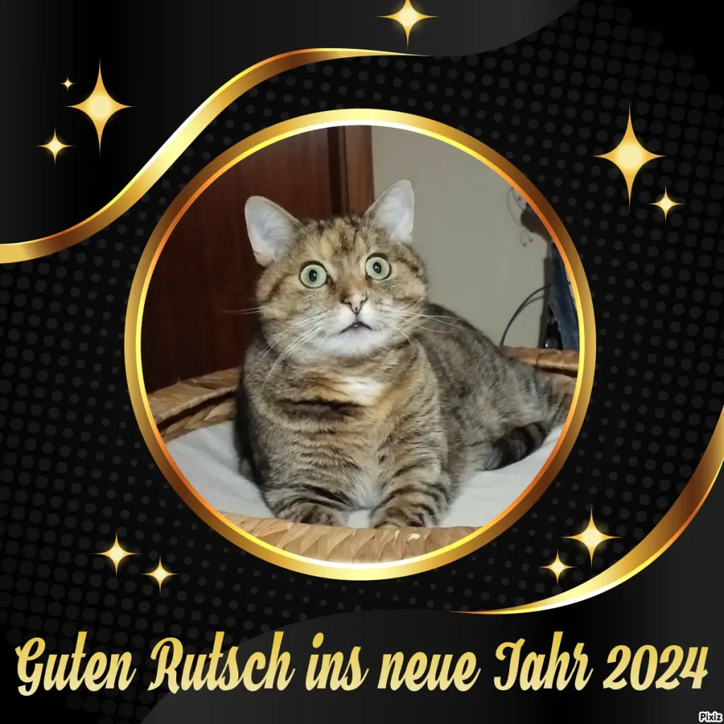 Condolence image of Tanja mit Timmy im Herzen 